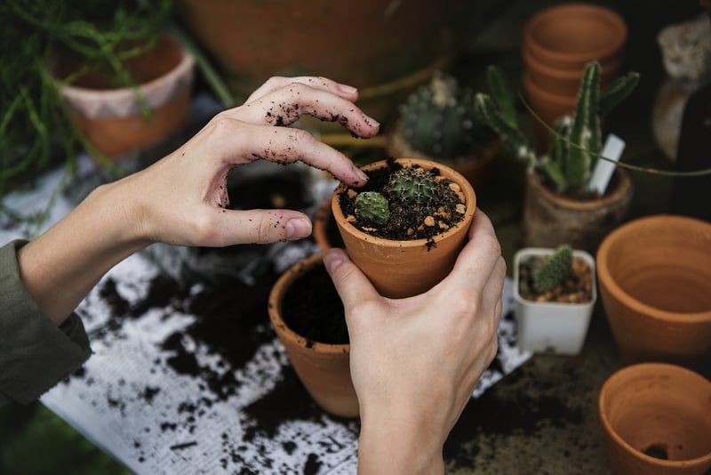 Gardening Gathering